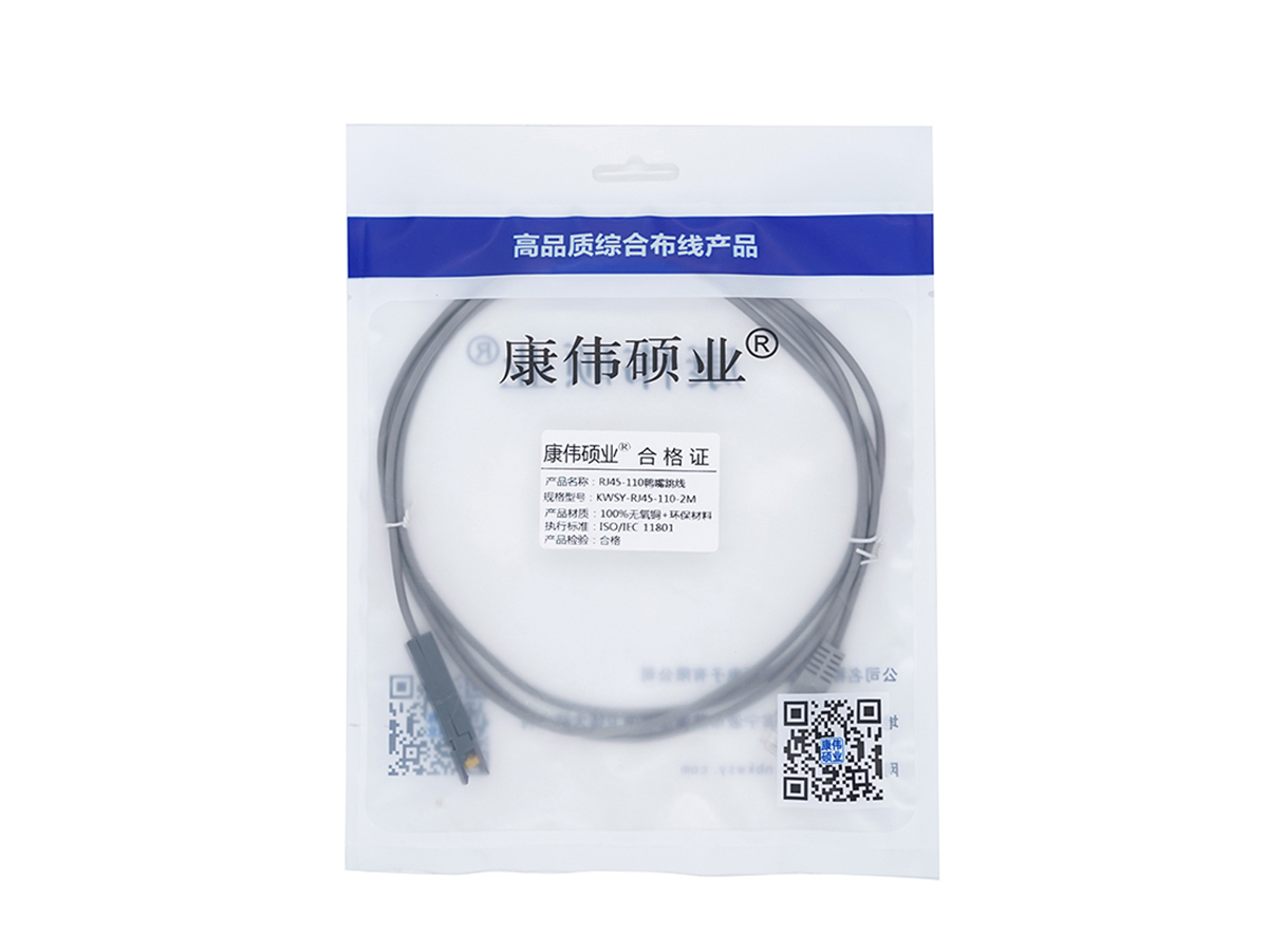 1对110鸭嘴-RJ45语音跳线-1